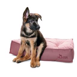 Hunter Lancaster Hunde Madras Luksus Pude Støvet Rød